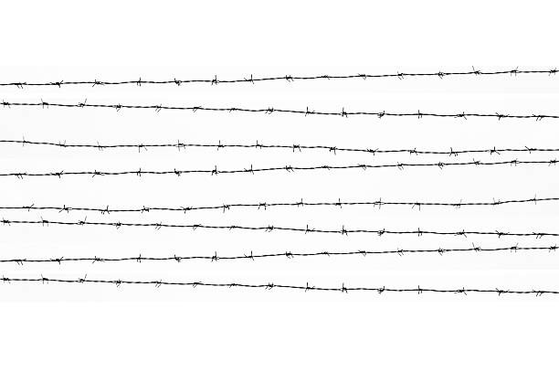 Zaeune und ihre Bedeutung fuer moderne Wohnkonzepte